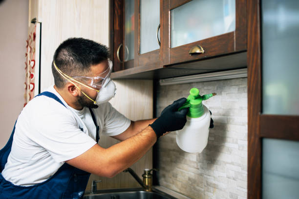 Best Termite Control Services  in Fort Sumner, NM