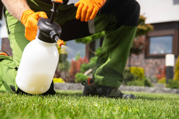 Best Flea Control Services  in Fort Sumner, NM