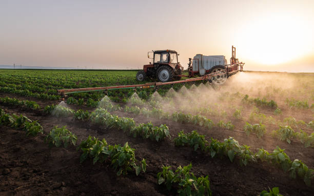 Best Best Pest Control Companies  in Fort Sumner, NM