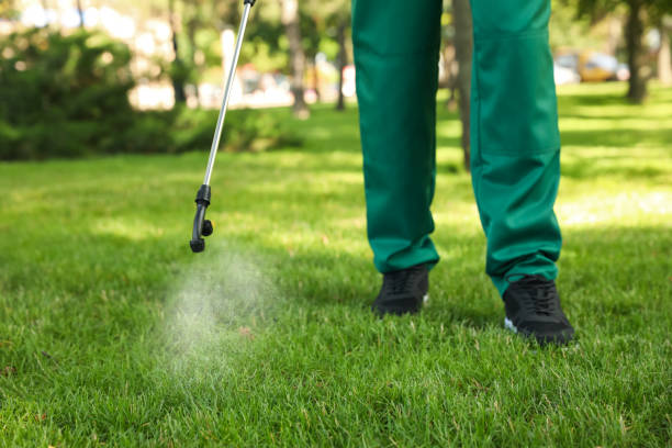 Best Cockroach Control Services  in Fort Sumner, NM
