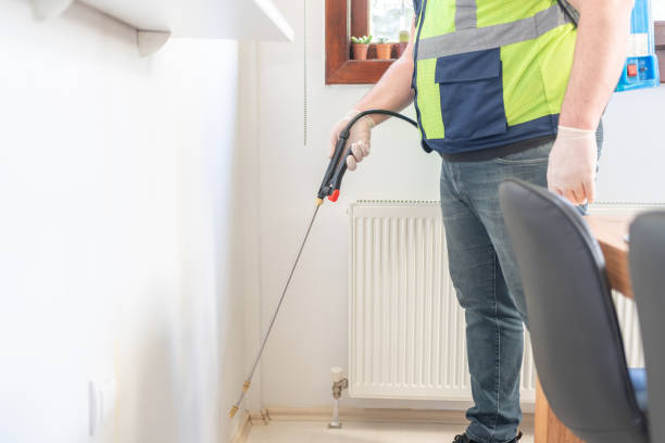 Flea Control Services in Fort Sumner, NM