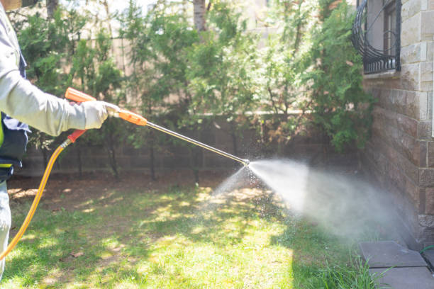 Best Affordable Pest Control Services  in Fort Sumner, NM