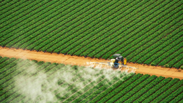 Best Mosquito Control Services  in Fort Sumner, NM